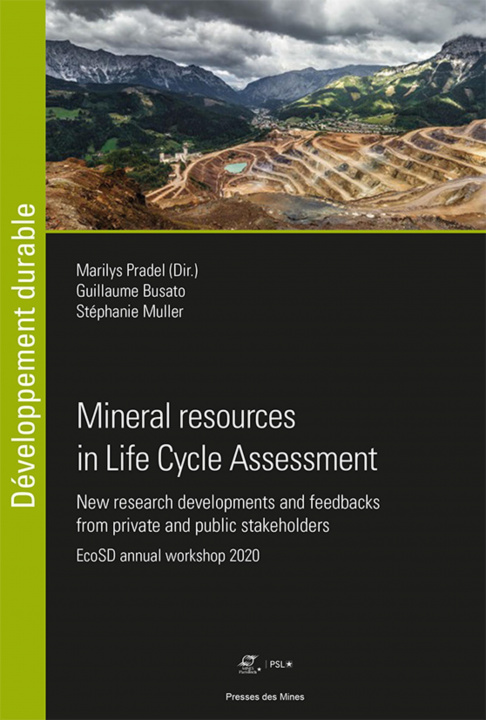 Kniha Mineral resources in Life Cycle Assessment Muller