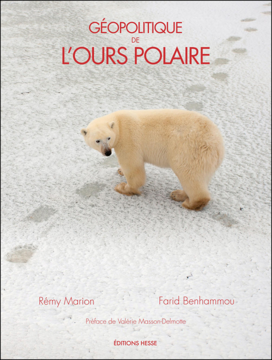 Carte Géopolitique de l'ours polaire Marion
