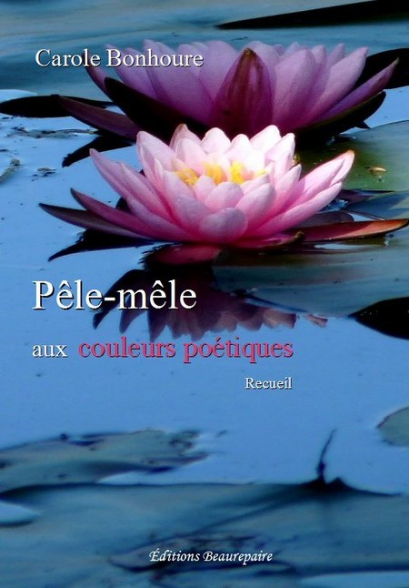 Kniha Pêle-mêle aux couleurs poétiques Carole