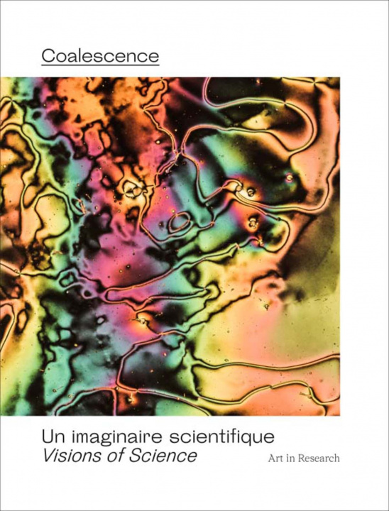 Knjiga Coalescence Bouchaud