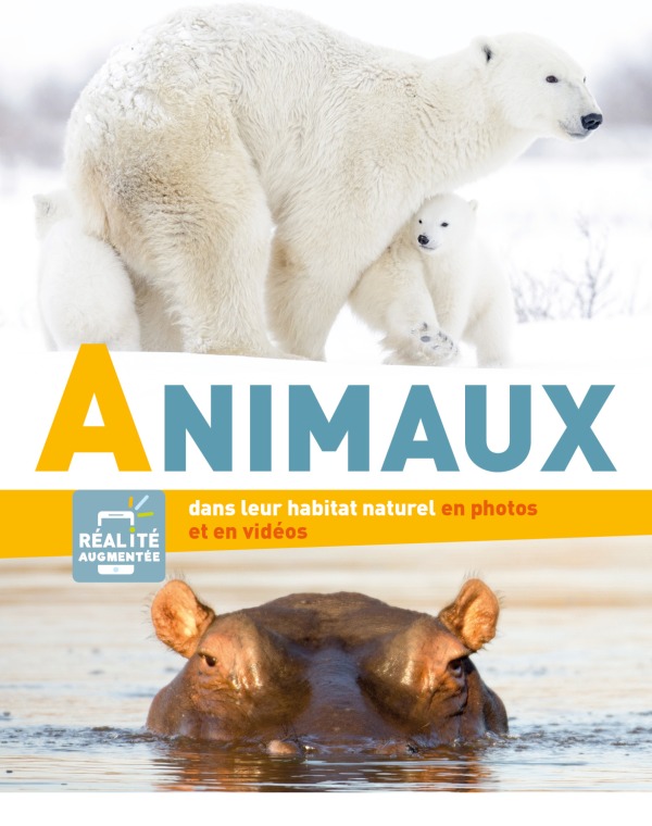 Knjiga Animaux Idées Book Créations