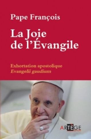 Knjiga La Joie de l'Évangile François