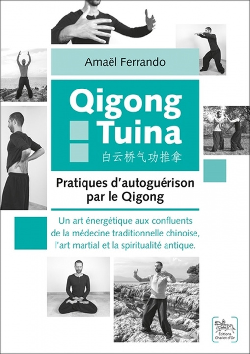Book Qigong tuina - pratiques d'autoguérison par le qigong Ferrando