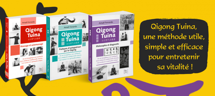 Kniha Qigong tuina - philosophie et diagnostic Ferrando