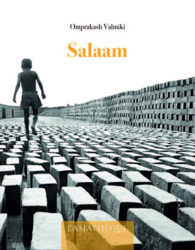 Book SALAAM Valmiki omprakash