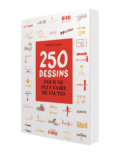 Knjiga 250 dessins pour ne plus faire de fautes Sandrine Campese
