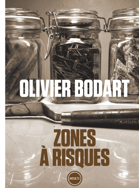 Knjiga Zones à risques Bodart