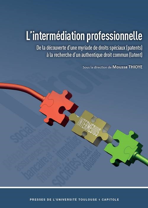 Buch L'intermédiation professionnelle THIOYE M.