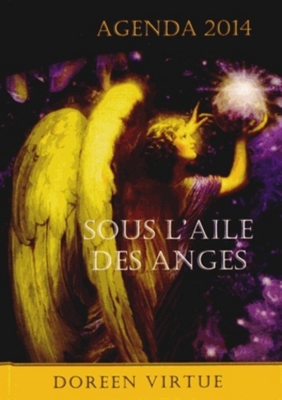 Knjiga Agenda 2014 - Sous l'aile des Anges Doreen Virtue