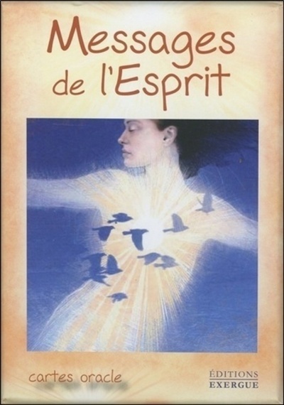 Buch Messages de l'esprit John Holland