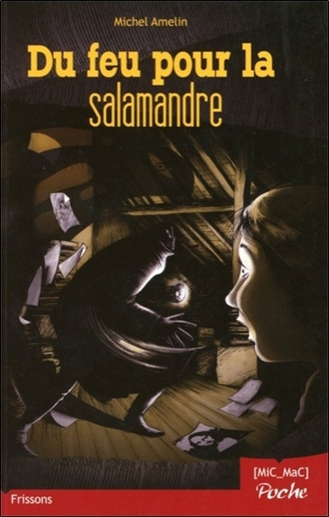 Boek Du feu pour la salamandre Amelin