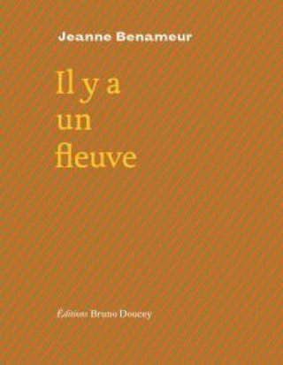 Knjiga IL Y A UN FLEUVE Jeanne BENAMEUR