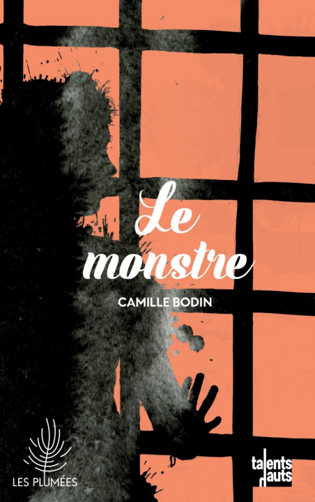 Kniha Le monstre Camille BODIN