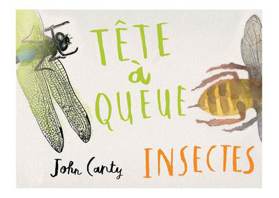 Książka Tête à queue - Insectes John Canty