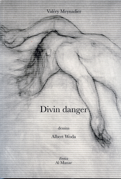 Book Divin danger Meynadier
