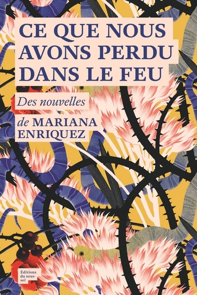 Kniha Ce que nous avons perdu dans le feu Mariana Enriquez