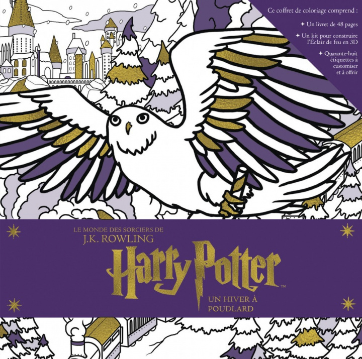 Carte HARRY POTTER, UN HIVER A POUDLARD 