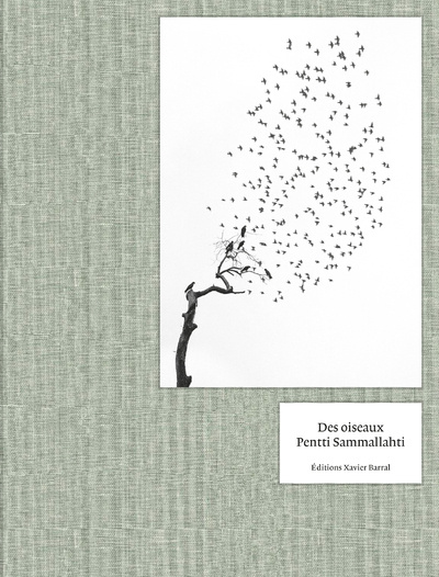 Kniha Des Oiseaux - Pentti Sammallahti Pentti Sammallahti