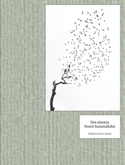 Könyv Des Oiseaux - Pentti Sammallahti -version anglaise- Pentti Sammallahti
