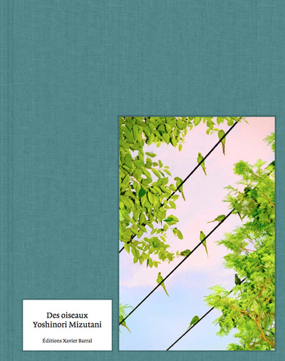 Kniha Des Oiseaux - Yoshinori Mizutani - version anglaise Yoshinori Mizutani