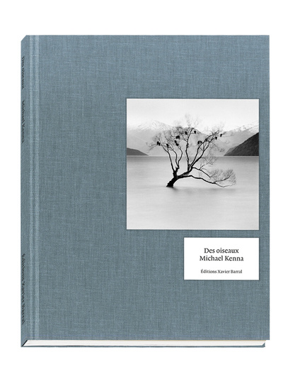 Книга Des Oiseaux - Michael Kenna (version anglaise) Guilhem Lesaffre