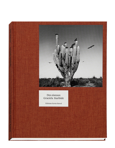 Könyv Des Oiseaux - Graciela Iturbide (version anglaise) Guilhem Lesaffre