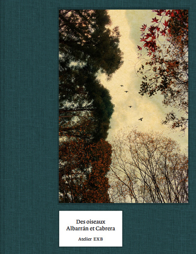 Kniha Des Oiseaux - Albarran Cabrera - English version Albarran Cabrera