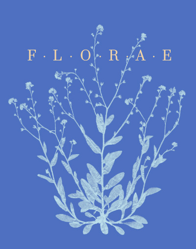 Knjiga Florae, le temps des fleurs - version anglaise 