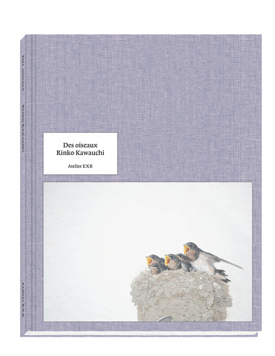 Book Des oiseaux Rinko Kawauchi - version anglaise Rinko Kawauchi