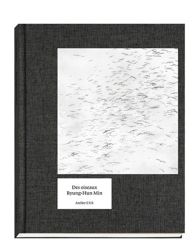 Kniha Des oiseaux - Byung-Hun Min VF Guilhem Lesaffre