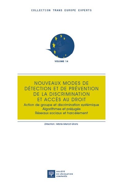 Könyv Nouveaux modes de détection et de prévention de la discrimination et accès au droit Mercat-Bruns