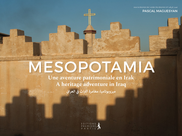 Книга Mésopotamia Mesopotamia