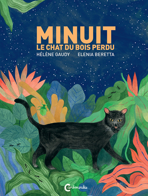 Kniha Minuit le chat du bois perdu Gaudy
