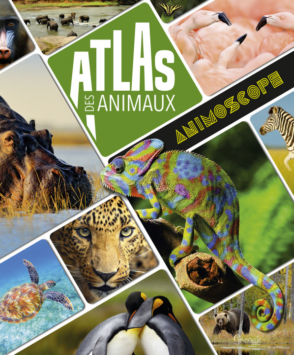 Carte Atlas des animaux 