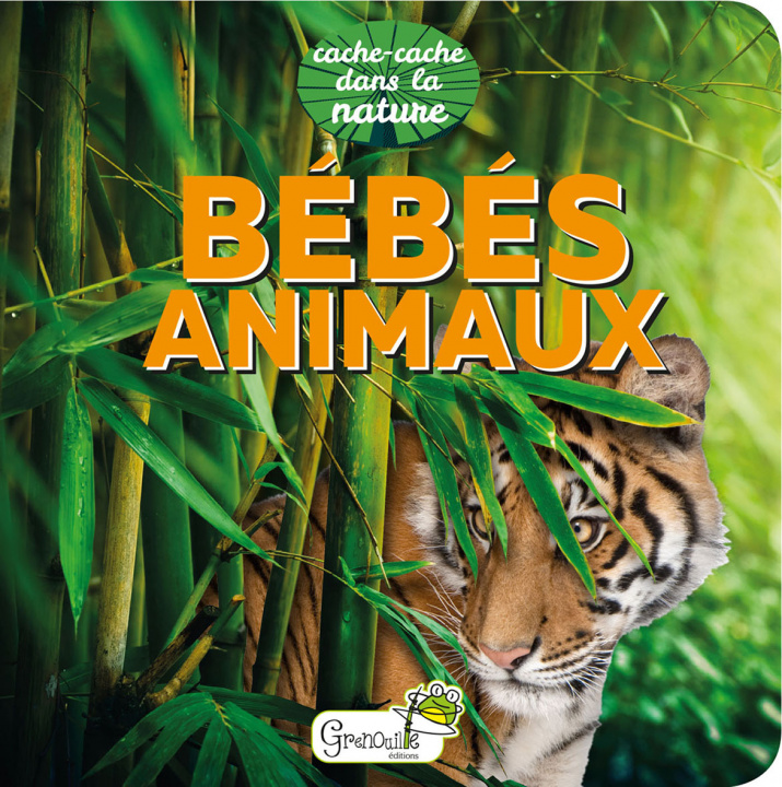 Book BEBES ANIMAUX - CACHE CACHE DANS LA NATURE 