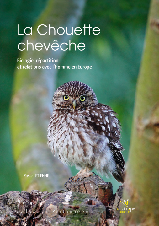Carte LA CHOUETTE CHEVECHE. BIOLOGIE, REPARTITION ET RELATION AVECL'HOMME EN EUROPE. Étienne