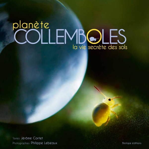 Kniha Planètes collemboles la vie secrète des sols LEBEAUX/CORTET