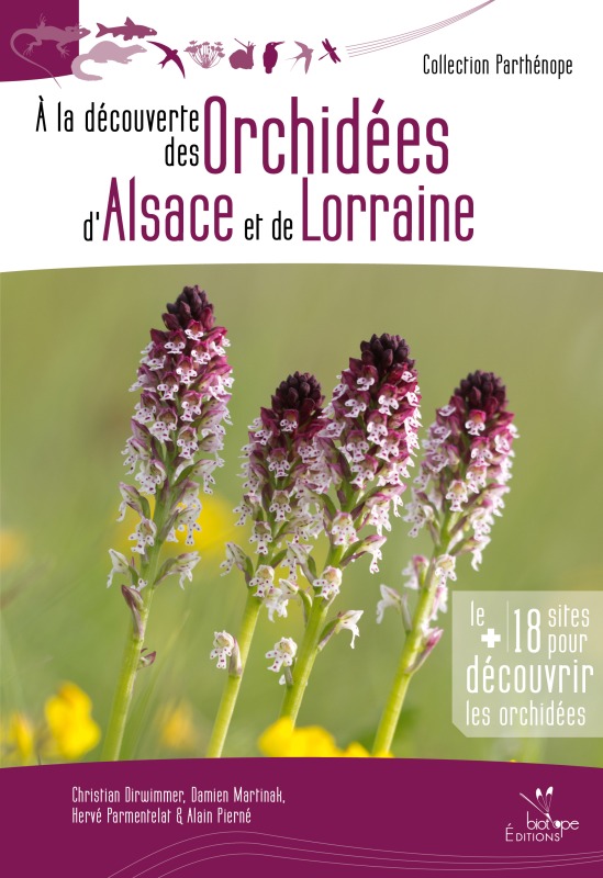 Kniha À la découverte des orchidées d'Alsace et de Lorraine C DIRWIMMER