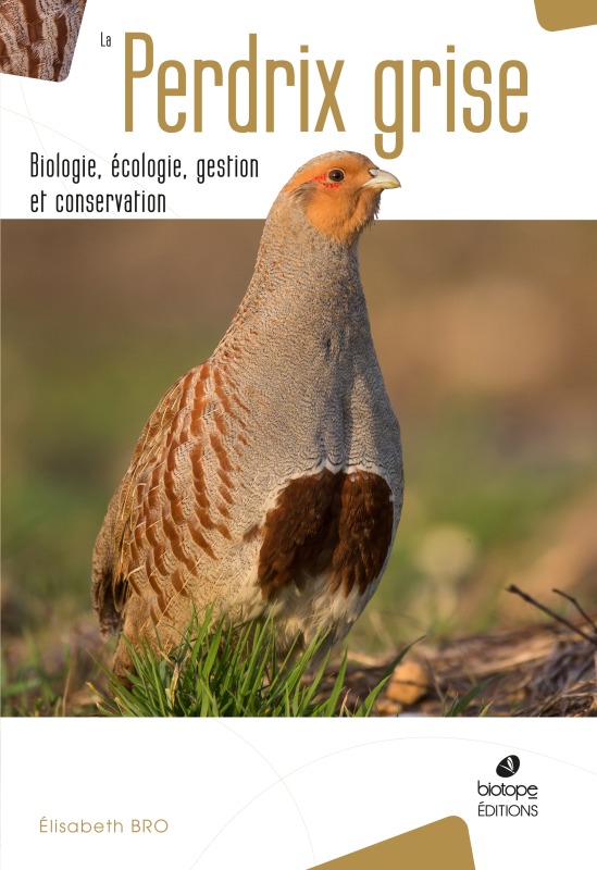Kniha La perdrix grise biologie, écologie, gestion et conservation BRO