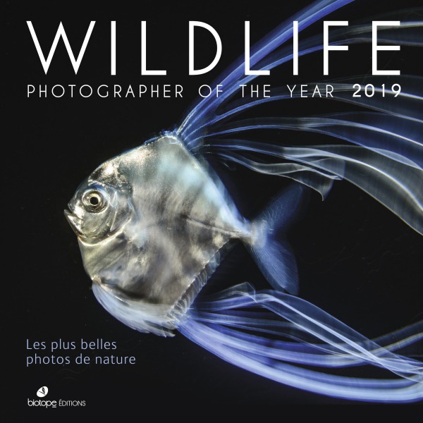 Knjiga Wildlife photographer of the year 2019 