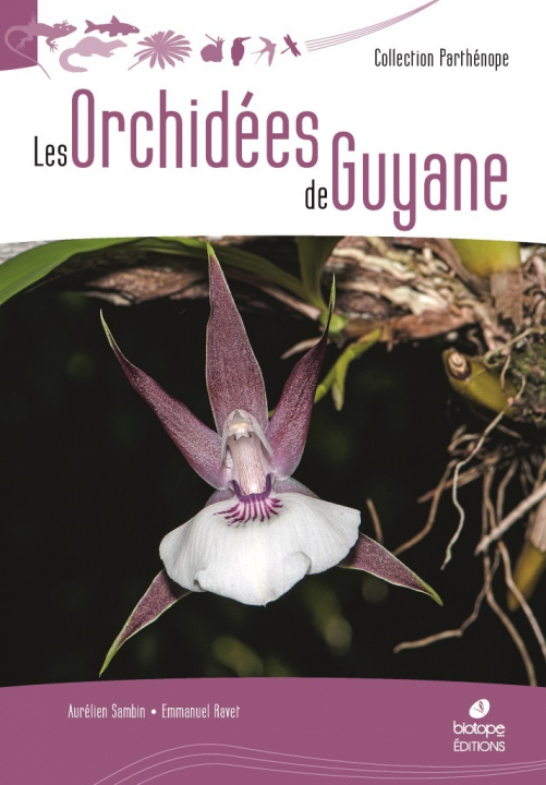 Carte Les Orchidées de Guyane AURELIEN SAMBIN