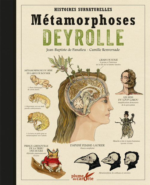 Carte Métamorphoses Deyrolle - Histoires surnaturelles Jean-Baptiste de Panafieu
