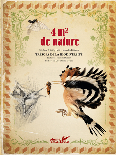 Kniha 4m2 de nature Stéphane Hette