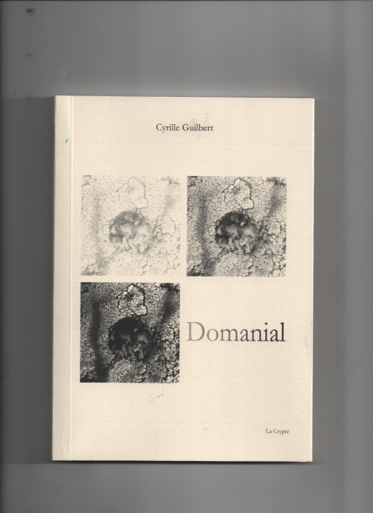 Book Domanial Guilbert