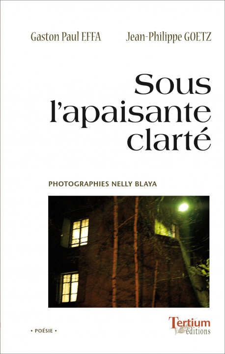 Kniha SOUS L'APAISANTE CLARTÉ GASTON-PAUL