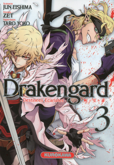 Kniha Drakengard - Destinées Écarlates - tome 3 Jun Eishima