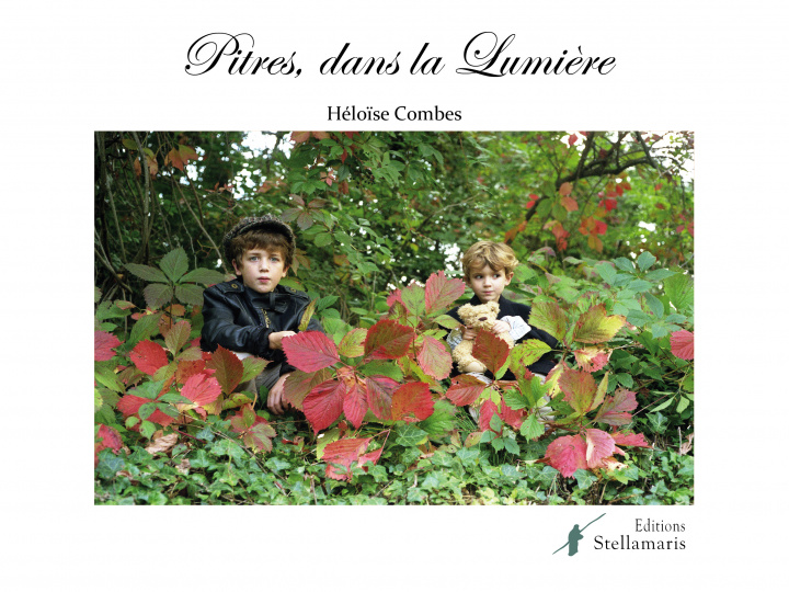 Livre Pitres, dans la lumière Combres
