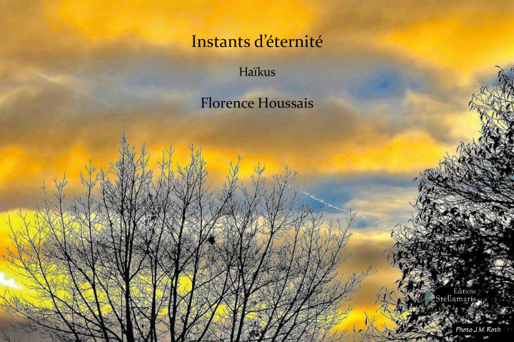 Knjiga Instants d'éternité Houssais