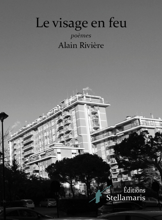 Buch Le visage en feu Rivière