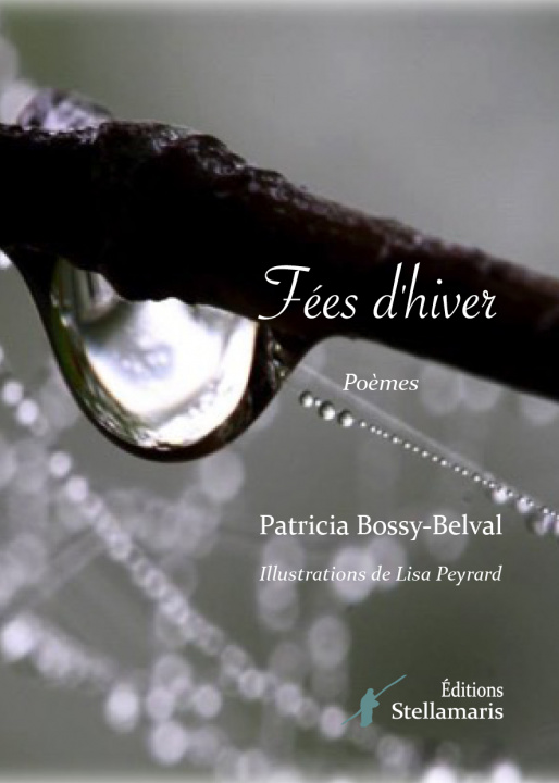 Knjiga Fées d'hiver BossyBelval